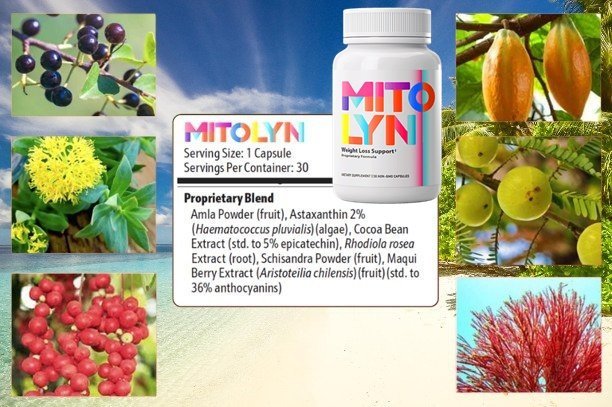 Mitolyn Ingredients