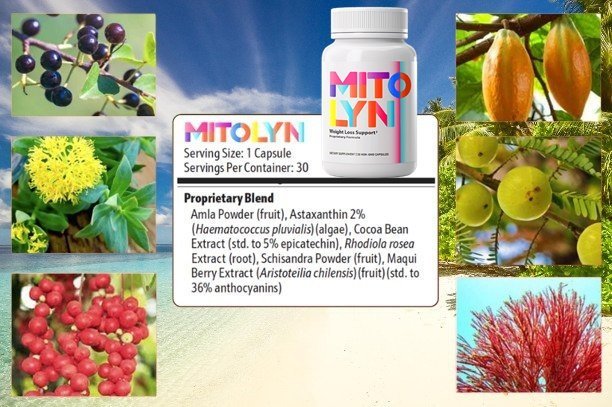 Mitolyn Ingredients